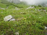 taiyoko-hatsuden-dounyuubinder.jpg